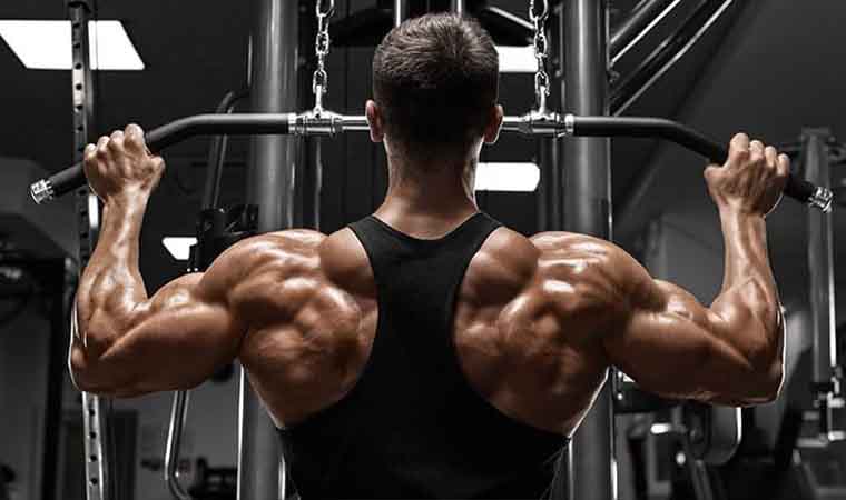 آموزش حرکات زیربغل و برنامه بدنسازی عضلات لت