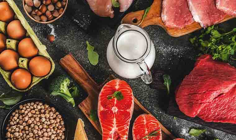 معرفی کامل غذاهای پروتئینی برای لاغری